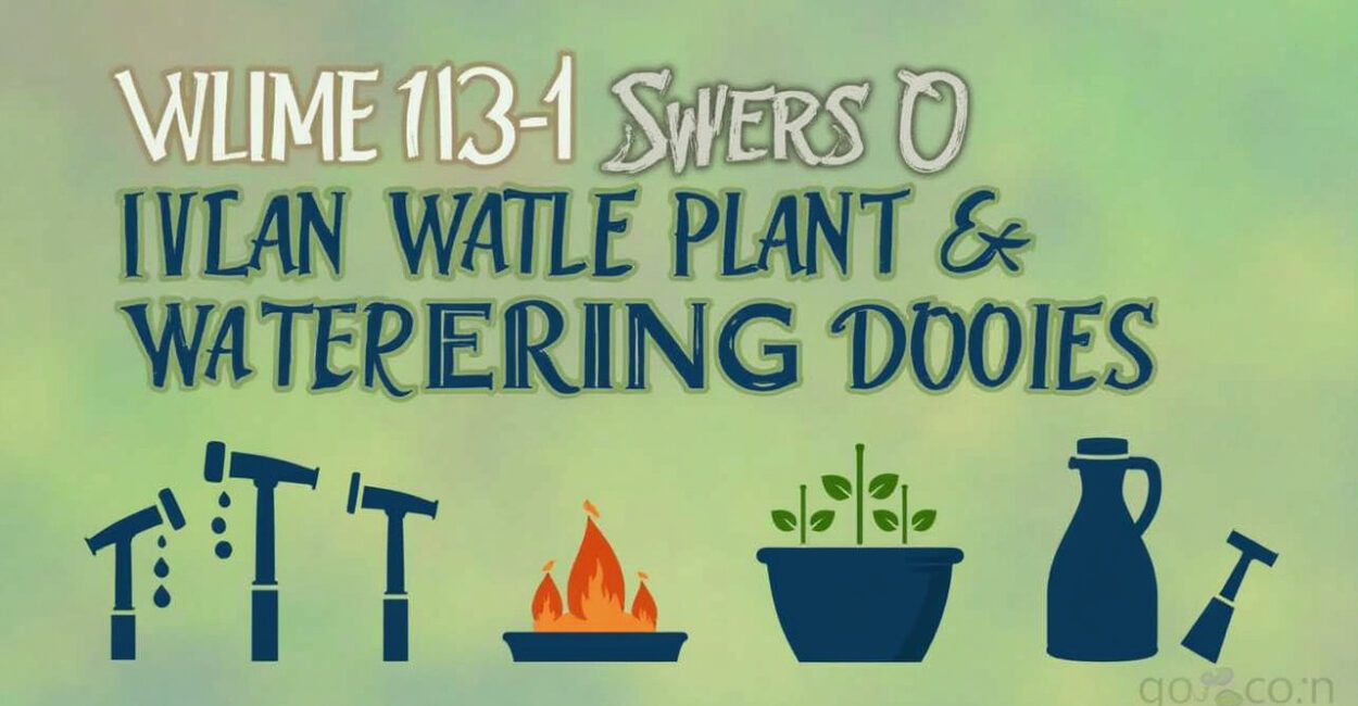 Best Watering Tools: Precise Gear to Nourish Indoor Plants Best Watering Tools: Precise Gear to Nourish Indoor Plants
